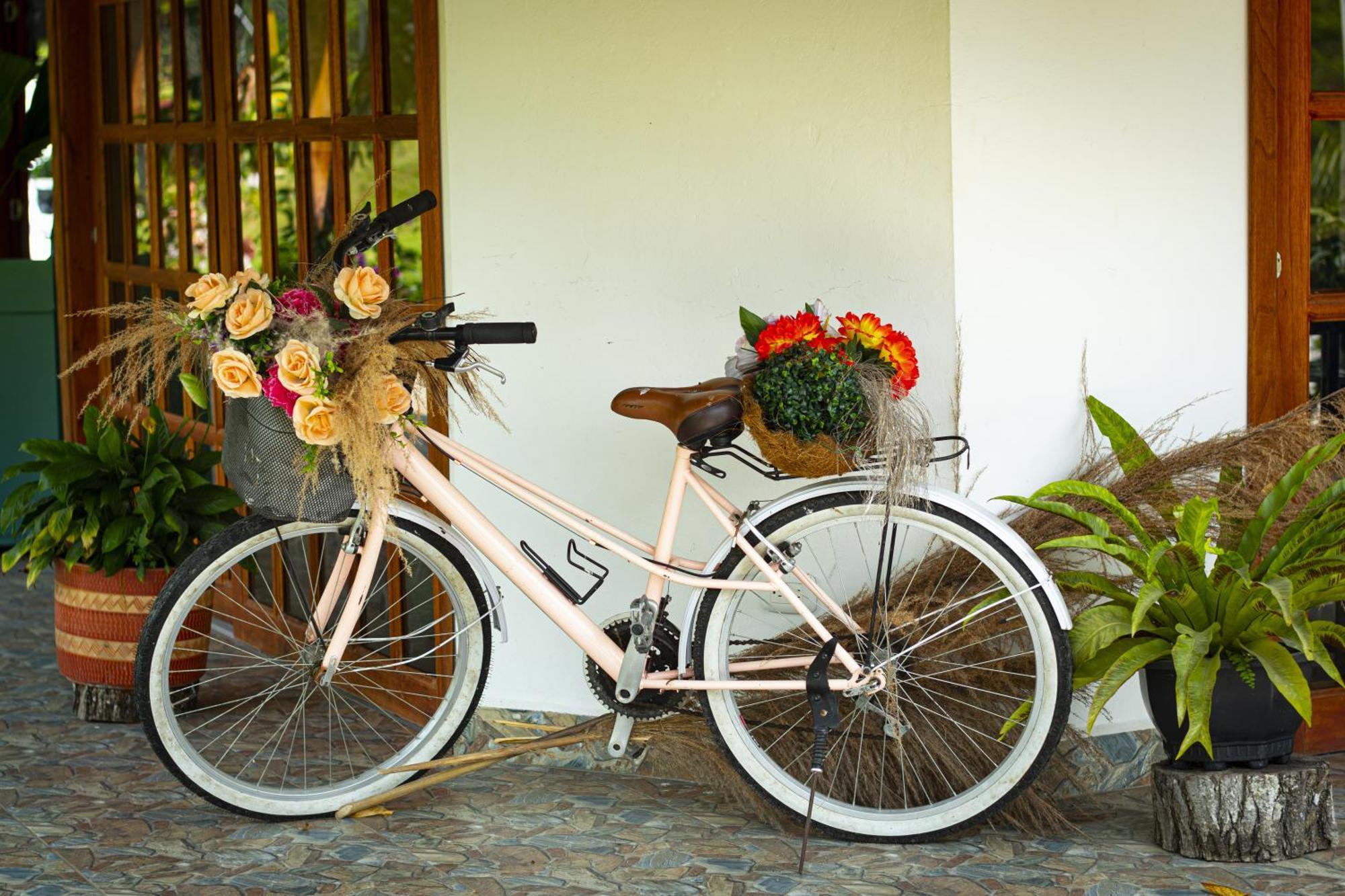 Hotel Campestre La Francesina Betania ภายนอก รูปภาพ